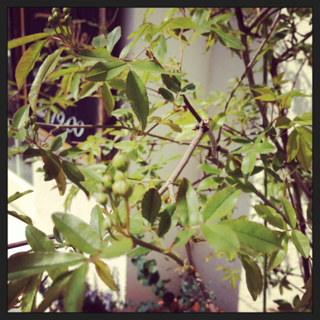 image-20130323234106.png